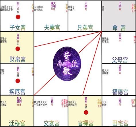 十八飛星|紫微斗數:歷史,典籍,基礎內容,斗數分析法,十四主星,十。